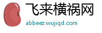 飞来横祸网